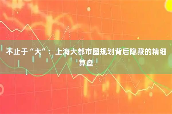 不止于“大”：上海大都市圈规划背后隐藏的精细算盘